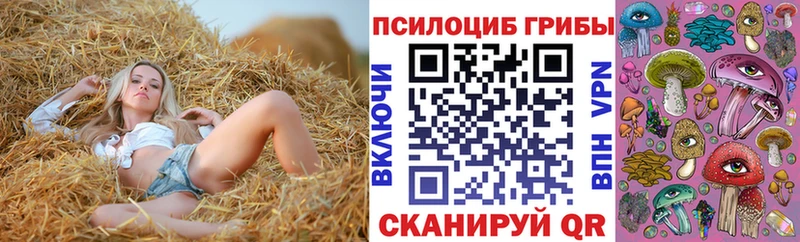 как найти Чухлома Псилоцибиновые грибы мицелий